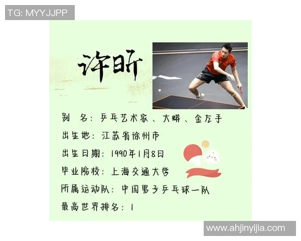 上海乒乓球队选拔赛背后的拼搏故事与奋斗历程揭秘